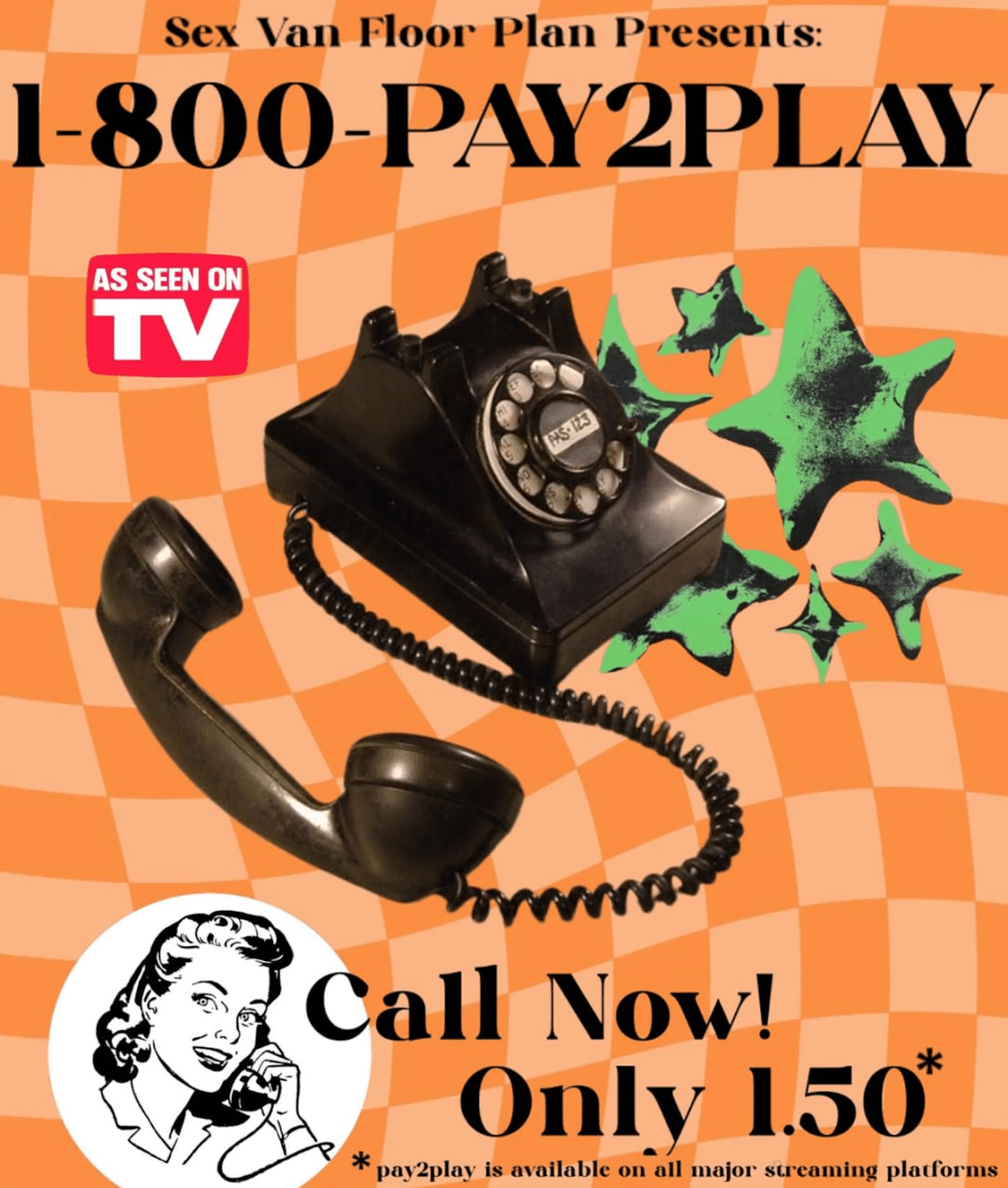 1-800-PAY2PLAY — Sex Van Floor Plan single advertisement