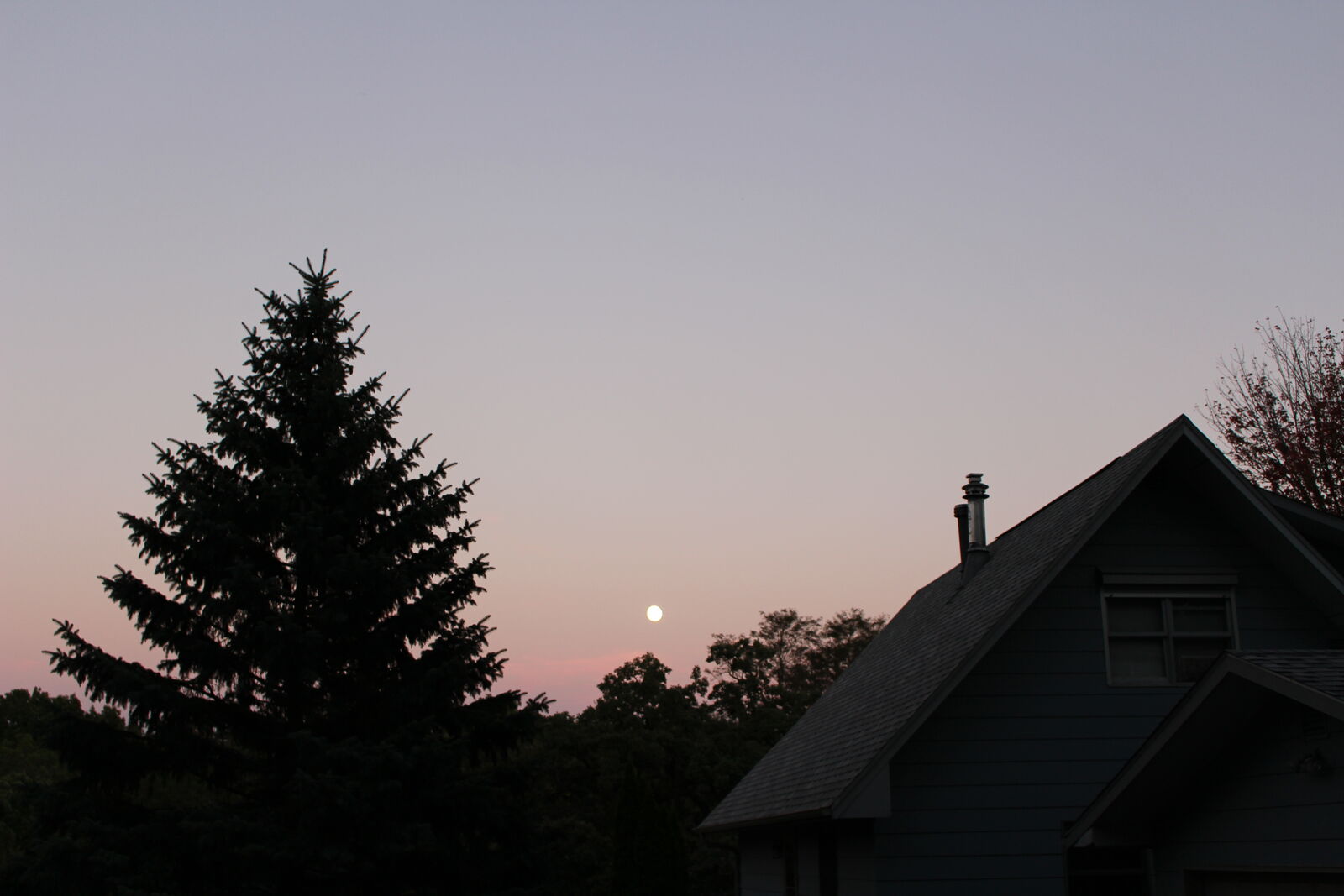 THLD — pine