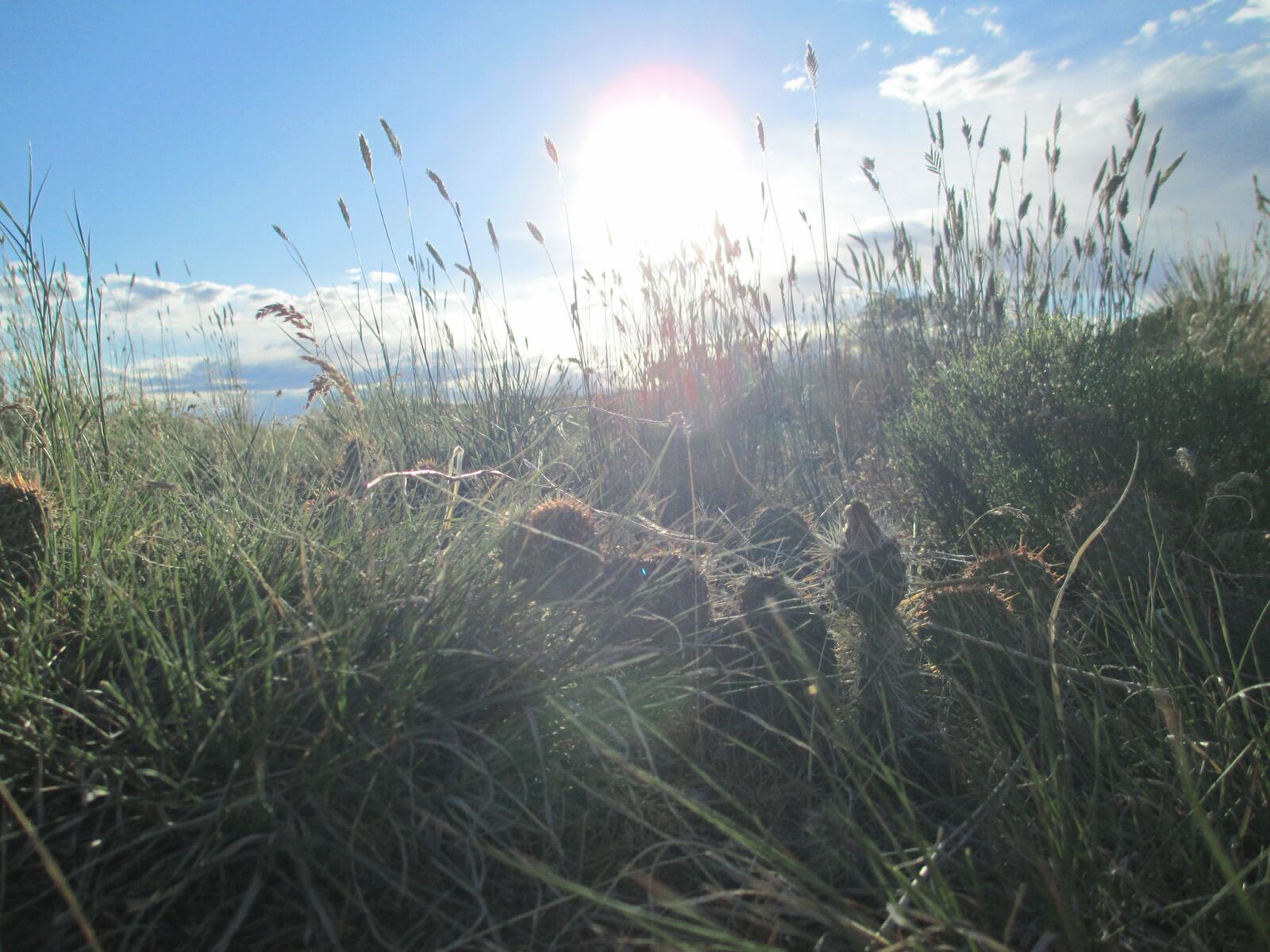 Summer 2012