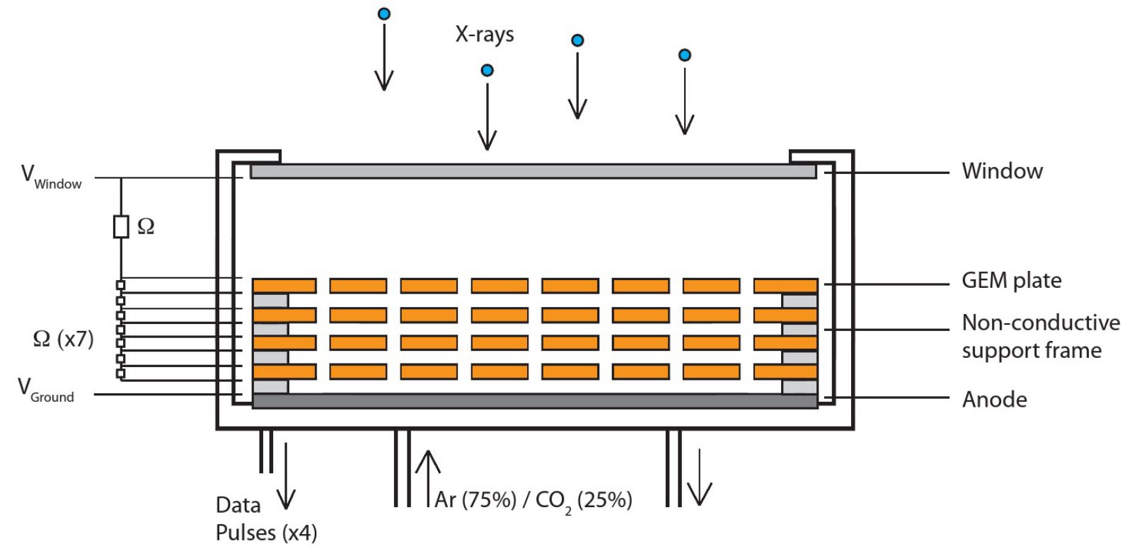 Schematic of a gaseous electron multiplier detector